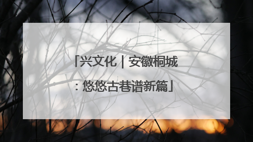 兴文化｜安徽桐城：悠悠古巷谱新篇