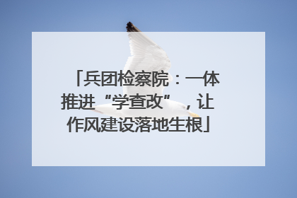 兵团检察院：一体推进“学查改”，让作风建设落地生根