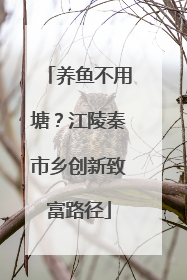 养鱼不用塘？江陵秦市乡创新致富路径