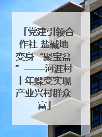 党建引领合作社 盐碱地变身“聚宝盆”——河涯村十年蝶变实现产业兴村群众富