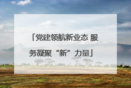 党建领航新业态 服务凝聚“新”力量