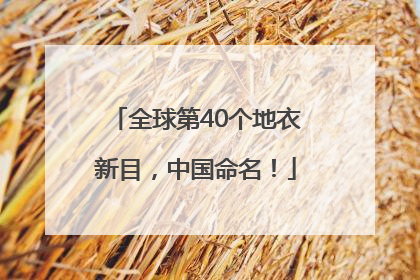 全球第40个地衣新目，中国命名！
