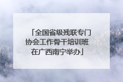 全国省级残联专门协会工作骨干培训班在广西南宁举办
