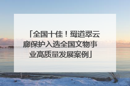 全国十佳！蜀道翠云廊保护入选全国文物事业高质量发展案例
