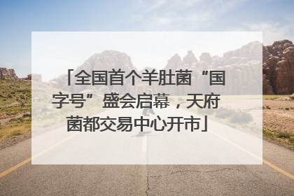 全国首个羊肚菌“国字号”盛会启幕，天府菌都交易中心开市