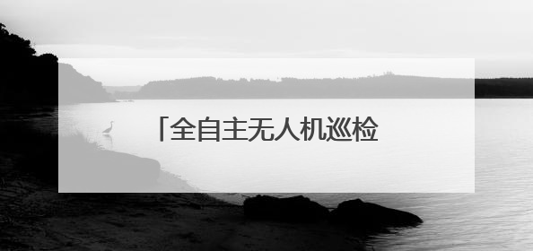 全自主无人机巡检系统首次亮相夷陵
