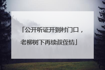 公开听证开到村门口，老柳树下再续叔侄情