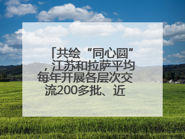 共绘“同心圆”，江苏和拉萨平均每年开展各层次交流200多批、近2000人次