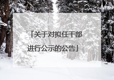 关于对拟任干部进行公示的公告