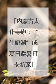 内蒙古太仆寺旗：“牛奶湖”成夏日避暑打卡新宠