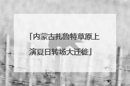 内蒙古扎鲁特草原上演夏日转场大迁徙