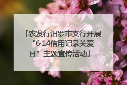 农发行汨罗市支行开展“6·14信用记录关爱日”主题宣传活动