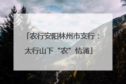 农行安阳林州市支行：太行山下“农”情涌