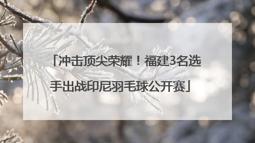 冲击顶尖荣耀！福建3名选手出战印尼羽毛球公开赛