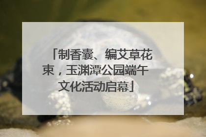 制香囊、编艾草花束，玉渊潭公园端午文化活动启幕