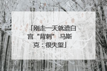 刚走一天就遭白宫“背刺” 马斯克：很失望