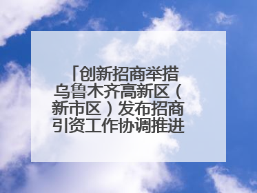 创新招商举措 乌鲁木齐高新区（新市区）发布招商引资工作协调推进机制 打造投资发展新高地
