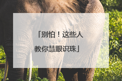 别怕！这些人教你慧眼识珠