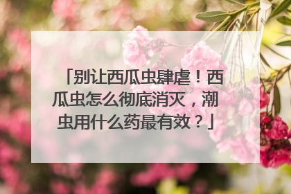 别让西瓜虫肆虐！西瓜虫怎么彻底消灭，潮虫用什么药最有效？