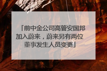 前中金公司高管安国邦加入蔚来，蔚来另有两位董事发生人员变更