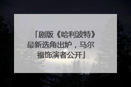 剧版《哈利波特》最新选角出炉，马尔福饰演者公开