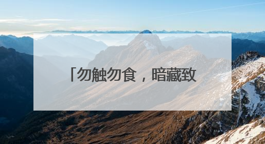 勿触勿食，暗藏致命危险 钱塘区全力清理福寿螺卵