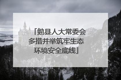 勉县人大常委会多措并举筑牢生态环境安全底线