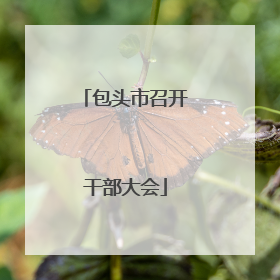 包头市召开干部大会