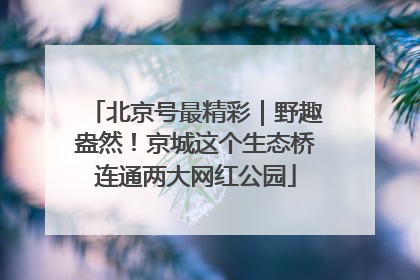 北京号最精彩｜野趣盎然！京城这个生态桥连通两大网红公园
