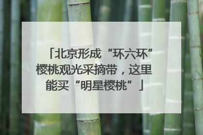 北京形成“环六环”樱桃观光采摘带，这里能买“明星樱桃”