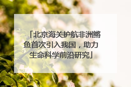 北京海关护航非洲鳉鱼首次引入我国，助力生命科学前沿研究