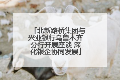 北新路桥集团与兴业银行乌鲁木齐分行开展座谈 深化银企协同发展