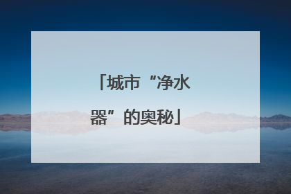 城市“净水器”的奥秘