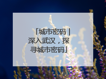 城市密码｜深入武汉，探寻城市密码
