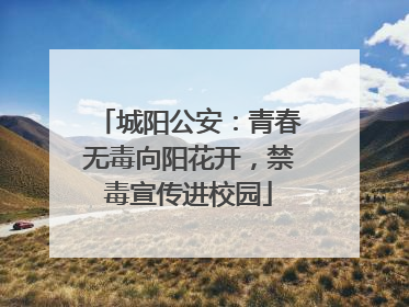 城阳公安：青春无毒向阳花开，禁毒宣传进校园