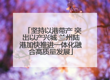 坚持以港带产 突出以产兴城 兰州陆港加快推进一体化融合高质量发展