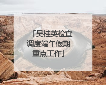 吴桂英检查调度端午假期重点工作