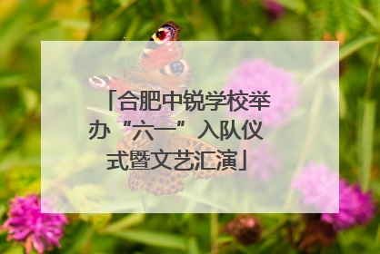 合肥中锐学校举办“六一”入队仪式暨文艺汇演