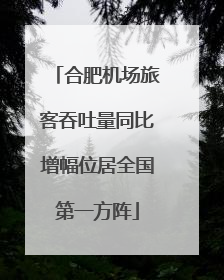 合肥机场旅客吞吐量同比增幅位居全国第一方阵
