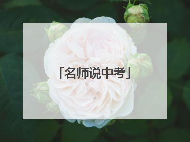 名师说中考