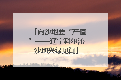向沙地要“产值”——辽宁科尔沁沙地兴绿见闻