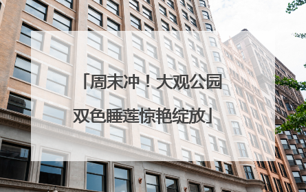 周末冲！大观公园双色睡莲惊艳绽放