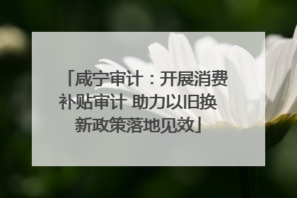 咸宁审计：开展消费补贴审计 助力以旧换新政策落地见效