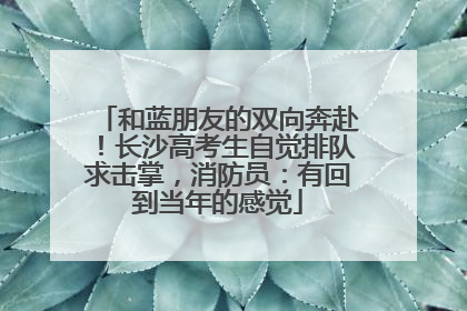 和蓝朋友的双向奔赴！长沙高考生自觉排队求击掌，消防员：有回到当年的感觉