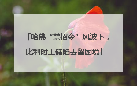哈佛“禁招令”风波下，比利时王储陷去留困境