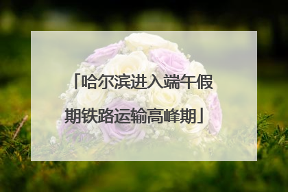 哈尔滨进入端午假期铁路运输高峰期
