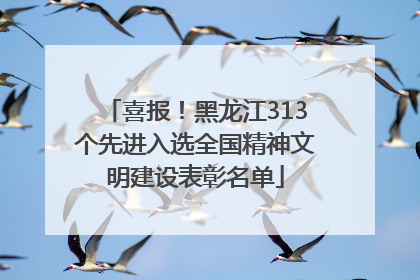 喜报！黑龙江313个先进入选全国精神文明建设表彰名单