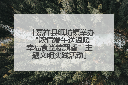 嘉祥县纸坊镇举办“浓情端午送温暖 幸福食堂粽飘香”主题文明实践活动