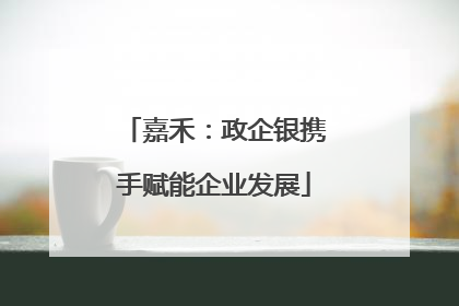 嘉禾：政企银携手赋能企业发展