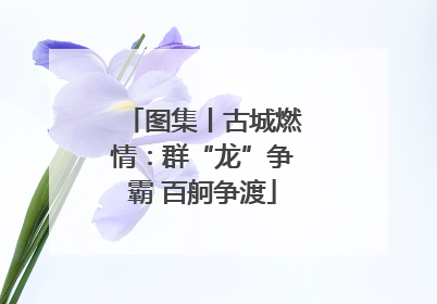 图集丨古城燃情：群“龙”争霸 百舸争渡